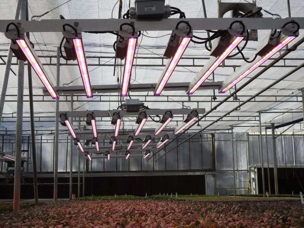 artifical led lighting