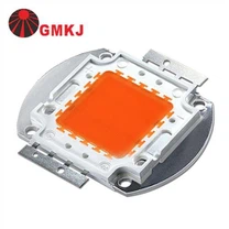LEDグローCOBチップダイオード30W50W 80W 100W